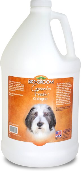 Scrappy Coco Cocos Mobile Grooming Bugalugs Luxury In Papaya And