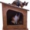 Show in main carousel: PetPro Modern Indoor Corrugated Cardboard Cat House slide 3 of 9