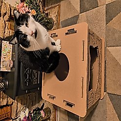 PetPro Indoor Corrugated Cardboard Cat House with Scratcher slide 2 of 9