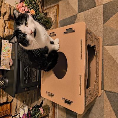 Show full view: PetPro Indoor Corrugated Cardboard Cat House with Scratcher slide 9 of 9