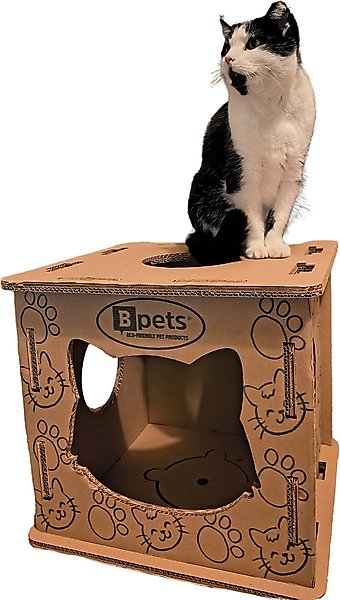 Show full view: PetPro Indoor Corrugated Cardboard Cat House with Scratcher slide 1 of 9