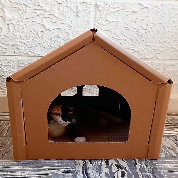 Show full view: PetPro Indoor Corrugated Cardboard Cat House, Large slide 7 of 9