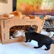Show in main carousel: PetPro Castle Indoor Corrugated Cardboard Cat House slide 4 of 7
