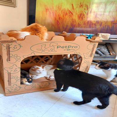 Show full view: PetPro Castle Indoor Corrugated Cardboard Cat House slide 5 of 8