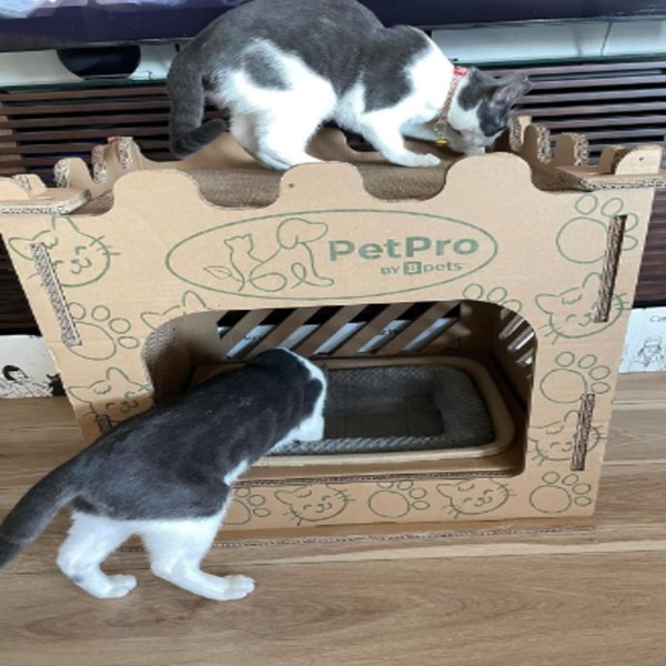 Show full view: PetPro Castle Indoor Corrugated Cardboard Cat House slide 3 of 7