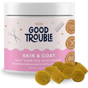 Good Trouble Skin & Coat Chew Supplement for Dogs, 30 count