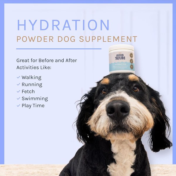 Good Trouble Hydration Powder + Electrolyes Powder Supplement for Dogs, 3.7-oz tub