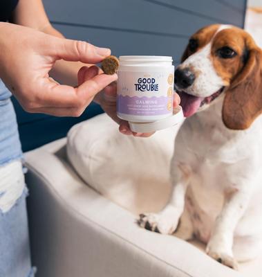 Show full view: Good Trouble Calming Chew Supplement for Dogs, 30 count slide 7 of 9