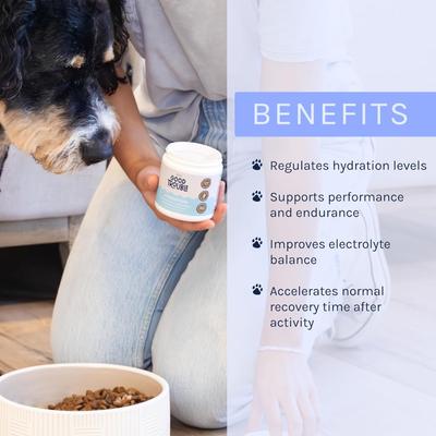 Show full view: Good Trouble Hydration Powder + Electrolyes Powder Supplement for Dogs, 3.7-oz tub slide 5 of 8