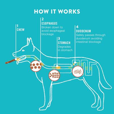 Show full view: TruRanch Peanut Butter Collagen Roll Hard Chew Dog Treats, 6-in, 30 count slide 5 of 5