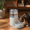 Show in main carousel: HANAMYA Automatic Dog & Cat Waterer, 3-liter, Light Gray slide 1 of 9