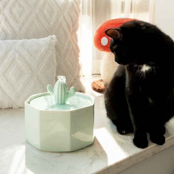 Happy & Polly Cactus Style Ceramic Cat Water Fountain, 1.5-liter