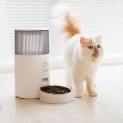 Pet Marvel Smart Mini Automatic Cat Feeder, White, Small: 10-cup slide 2 of 5