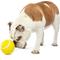 Show in main carousel: GURU Giggling Tennis Ball Dog Toy, Large slide 2 of 5