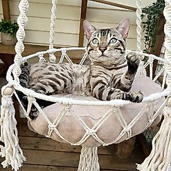 Happy & Polly Boho Chic Macrame Removable Cushion Cat Hammock Bed
