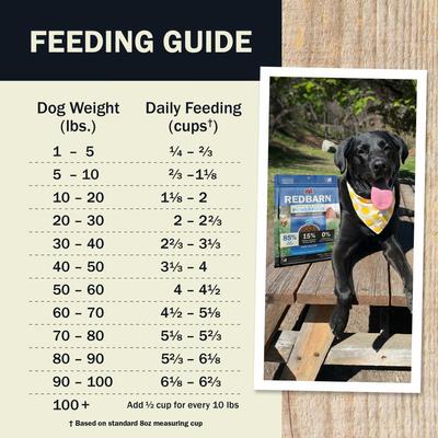 Show full view: Redbarn Powerfood Digestive Health Fish Gently Air Dried Dog Food, 32-oz bag slide 9 of 12