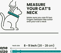 BRONZEDOG Leather Cat Collar with Bell, Teal slide 2 of 7