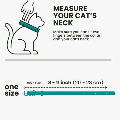 Show full view: BRONZEDOG Leather Cat Collar with Bell, Teal slide 8 of 9