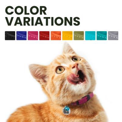 Show full view: BRONZEDOG Leather Cat Collar with Bell, Light Blue slide 5 of 8