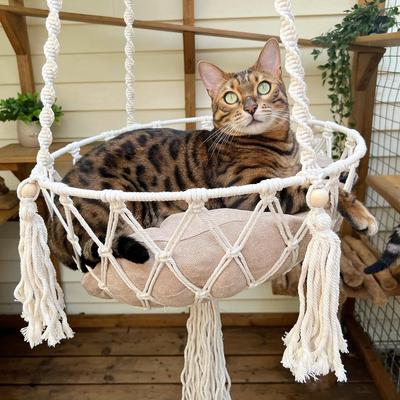 Show full view: Happy & Polly Boho Chic Macrame Removable Cushion Cat Hammock Bed slide 5 of 7