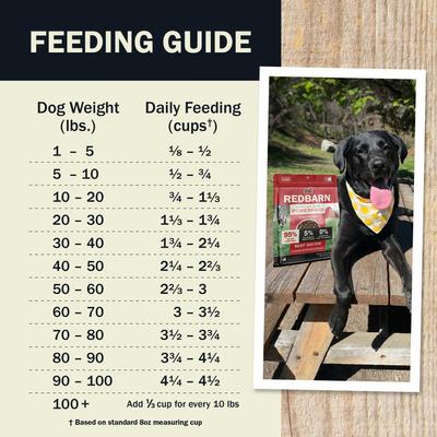 Show full view: Redbarn Powerfood Beef High Protein Grain-Free Gently Air Dried Dog Food, 2.5-oz bag slide 8 of 12