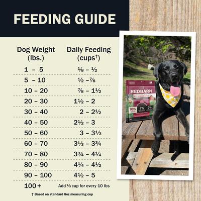 Show full view: Redbarn Powerfood Digestive Health Beef & Lamb Gently Air Dried Dog Food, 32-oz bag slide 9 of 12