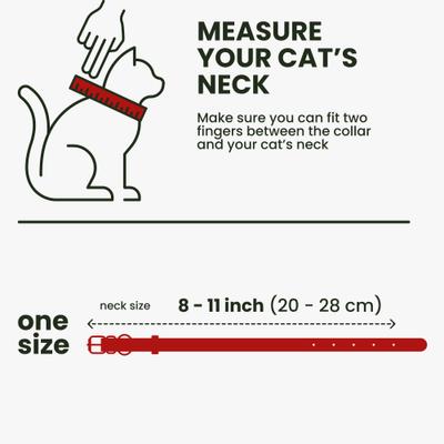 Show full view: BRONZEDOG Leather Cat Collar with Bell, Red slide 7 of 8