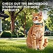 Show in main carousel: BRONZEDOG Leather Cat Collar with Bell, Teal slide 6 of 8