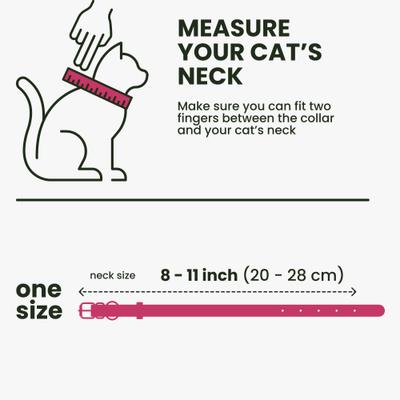 Show full view: BRONZEDOG Leather Cat Collar with Bell, Pink Berry slide 7 of 8