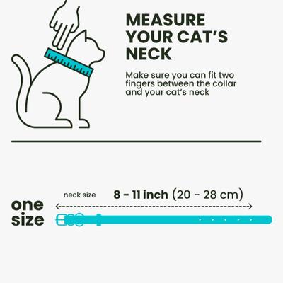 Show full view: BRONZEDOG Leather Cat Collar with Bell, Light Blue slide 7 of 8