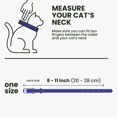 Show full view: BRONZEDOG Leather Cat Collar with Bell, Aqua Blue slide 7 of 8