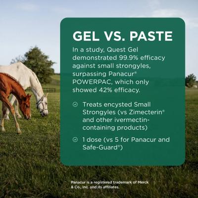 Show full view: QUEST Gel Moxidectin Dewormer & Boticide for Horses & Ponies, 10 count slide 5 of 9