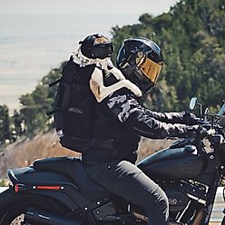 Rex Specs Dog Ear Pro, Black, 2 slide 2 of 9