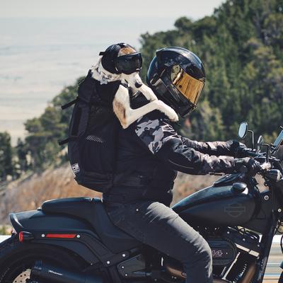 Show full view: Rex Specs Dog Ear Pro, Black, 2 slide 5 of 9