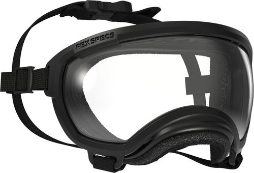 kinderfahrrad 12 zoll real - XXlite 1-Gang | ab 2 Jahre Wähle deine Handschuhe:Handschuhe | Größe 2 Exmoor Trim Move FaceShield E-Bike und