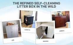 The Refined Feline Self Cleaning Litter Box Cabinet, Espresso slide 2 of 9