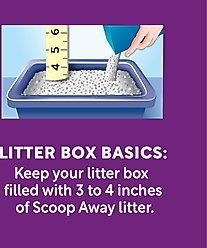 Scoop Away Instant Odor Control Clean Breeze Scented Clumping Cat Litter, 25-lb box slide 2 of 9