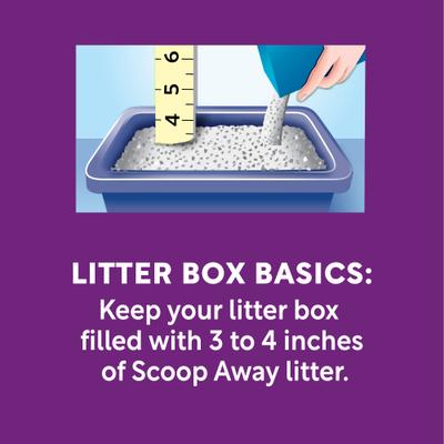Show full view: Scoop Away Clumping Unscented Cat Litter, 25-lb box slide 5 of 11