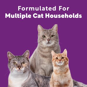 Scoop Away Multi-Cat Meadow Fresh Scented Clumping Clay Cat Litter, 25-lb box