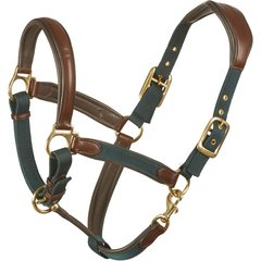 Ovation Luxor Cushion-Flex Horse Halter, Brown/Green, Horse