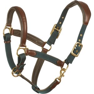Ovation Luxor Cushion-Flex Horse Halter, Brown/Green, Oversize