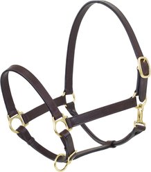Camelot Leather Stable Horse Halter, Brown, Pony