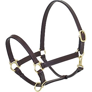Camelot Leather Stable Horse Halter, Brown, Horse