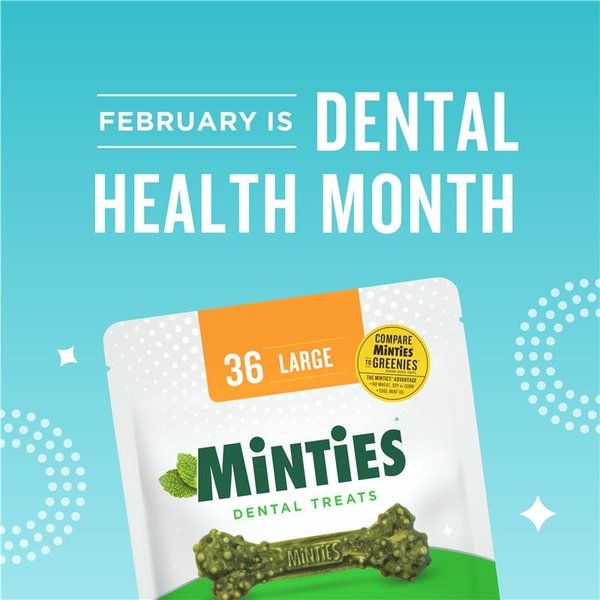 Minties Large Mint Flavored Dental Dog Treats 50+ lbs