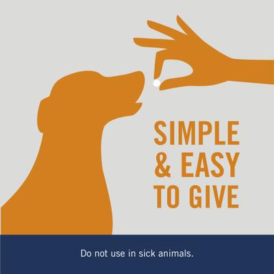 Show full view: PetArmor 7 Way Dewormer for Hookworms, Roundworms & Tapeworms for Small Breed Dogs, 2 count slide 4 of 9