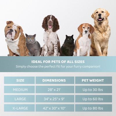 Show full view: MODERN THREADS Luxury Tufted Velvet Cuddler Dog & Cat Bed, Charcoal, 28 x 21 x 9-in slide 4 of 5