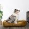 Show in main carousel: MODERN THREADS Luxury Tufted Velvet Cuddler Dog & Cat Bed with Removable Cover, Caramel, 42 x 30 x 10-in slide 5 of 9