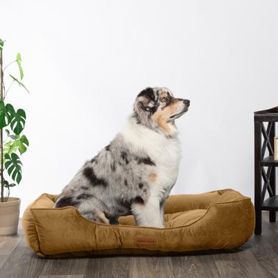 Show full view: MODERN THREADS Luxury Tufted Velvet Cuddler Dog & Cat Bed with Removable Cover, Caramel, 42 x 30 x 10-in slide 5 of 9