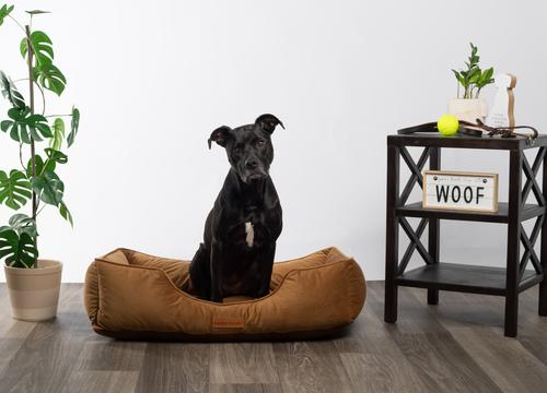 Show full view: MODERN THREADS Luxury Tufted Velvet Cuddler Dog & Cat Bed with Removable Cover, Caramel, 34 x 25 x 9-in slide 5 of 8