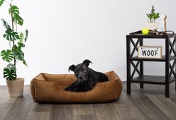 MODERN THREADS Luxury Tufted Velvet Cuddler Dog & Cat Bed with Removable Cover, Caramel, 34 x 25 x 9-in